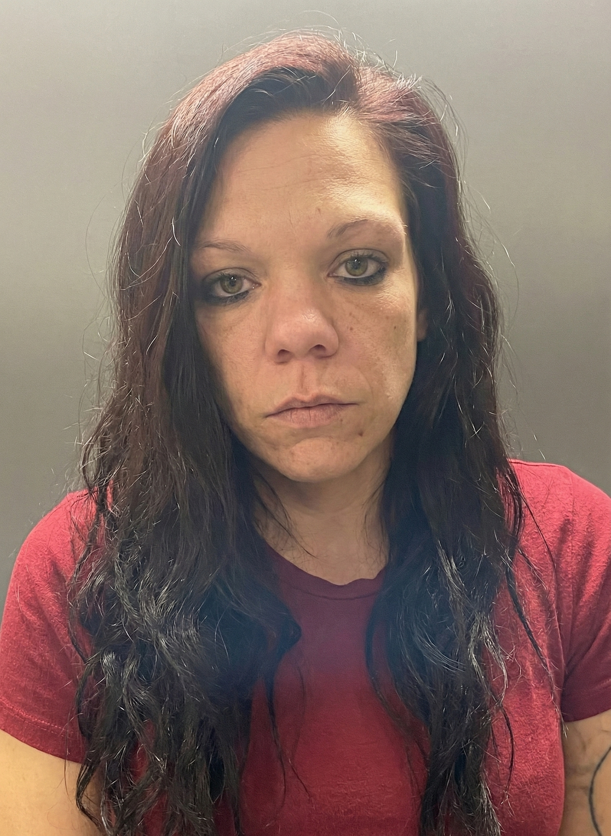 Gosport Woman Facing Multiple Theft and Vehicle Entry Charges in Owen County Arrest