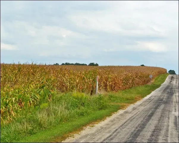 Secretary Rollins Announces Local Food Purchases for Communities in Need