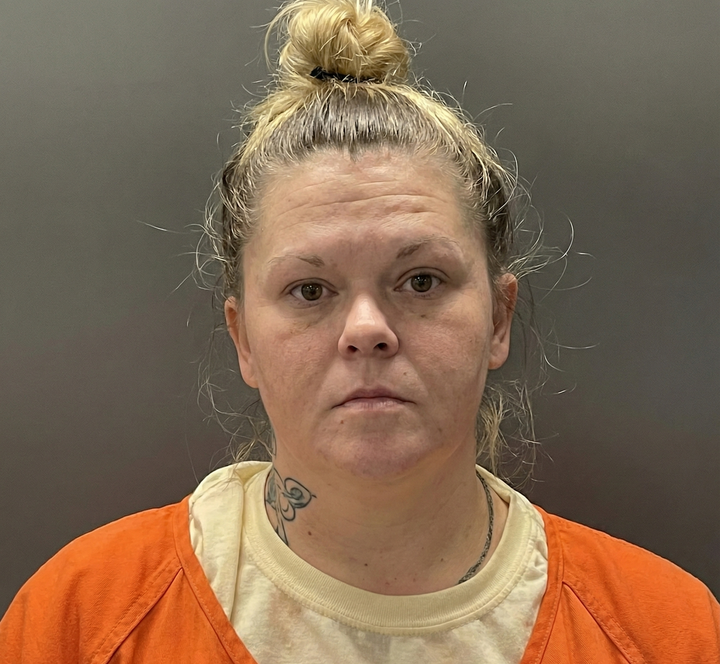 Gosport Woman Facing Multiple Theft Charges in Owen County